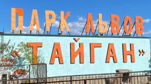 Парк львов Тайган