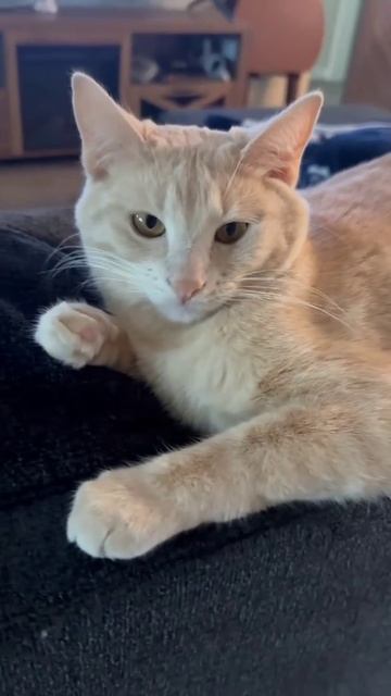 подпишитесь канала😁😁😁😁😁😁