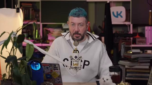 Новости. Артемий Лебедев смотреть онлайн