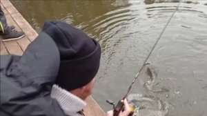 Запуск и первые поимки форели. Спорт-зона. Клёвое место Лосиный остров.