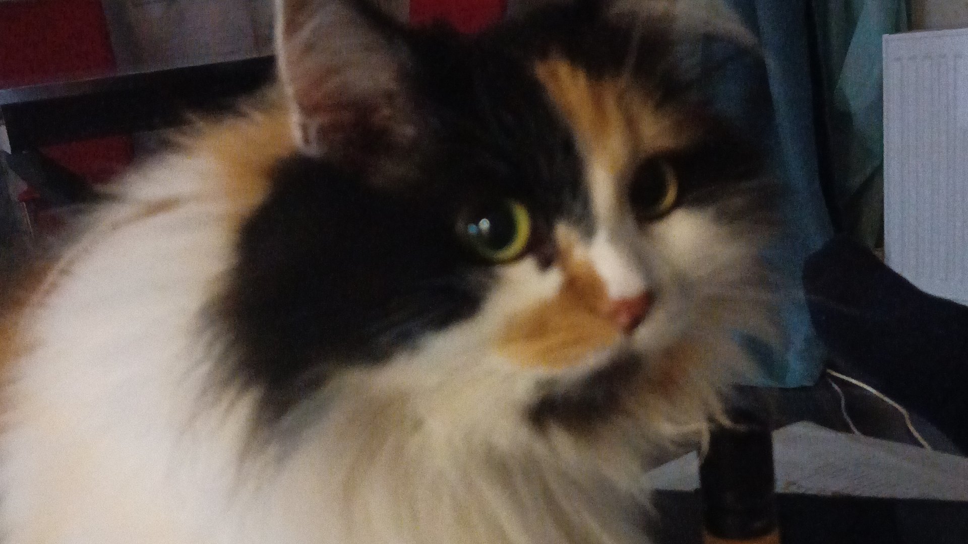 Играем в сдвиг вниз по холму, часть 3 (детский контент)