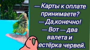 🤣Анекдот из Сыктывкара