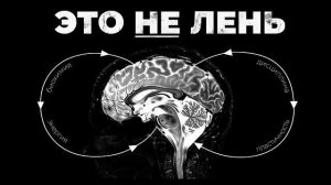 Как заставить мозг ХОТЕТЬ трудностей [Перезалив]