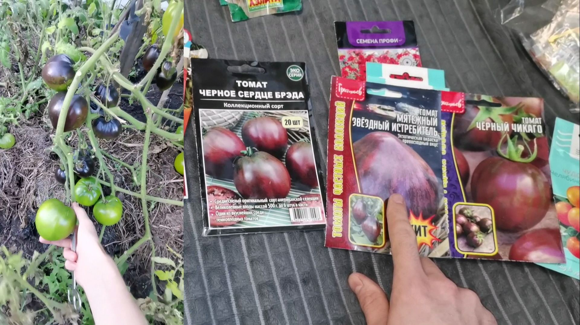 Семена томатов и другие на 2026 год ожидания и реальность урожайного огорода! смотреть онлайн