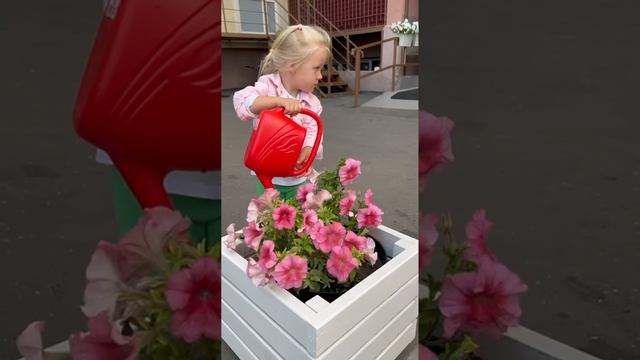 Благоустройство