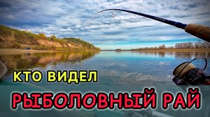Закрытие рыболовного сезона открытой воды. Рыбалка на джиг-спиннинг в ноябре