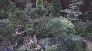 Путешествие в супер-сад моей мечты!