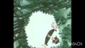 песня рыбы-пилы