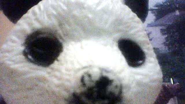 ОСЕННИЙ СЕНТЯБРЁВСКИЙ НОЧНОЙ КУХОННО-КОМНАТНЫЙ БЛОГ №1527 Я ПИШУ СЕГОДНЯ ВСЕМ. ДВУХ-ЧАСОВОЕ ВИДЕО. смотреть онлайн