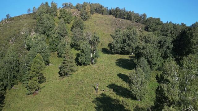 Горный Алтай, Чемал