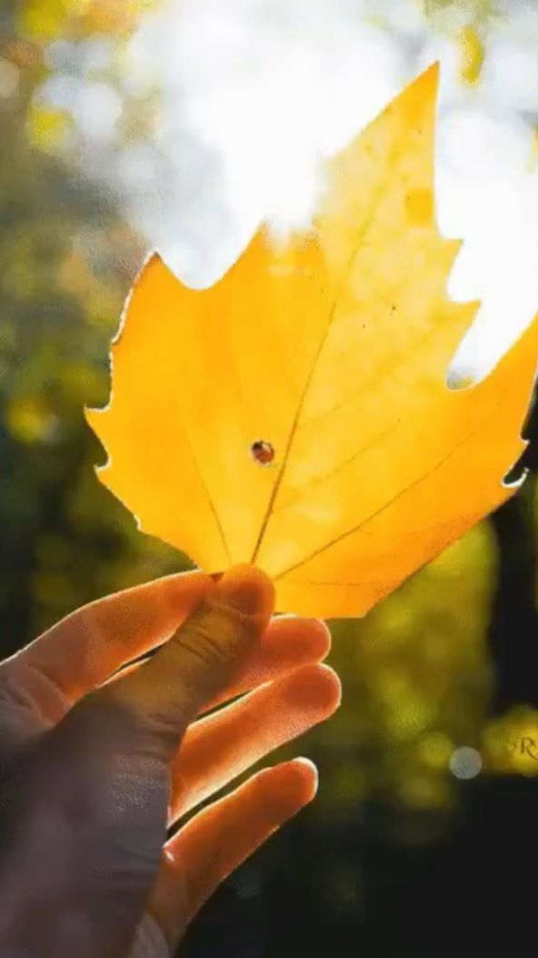 Не знаете ... смотреть онлайн