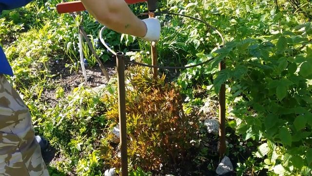 7 АРХИВ.Дача.29-31.05.20.это хорошо😂отдыхаем как можем)) смотреть онлайн