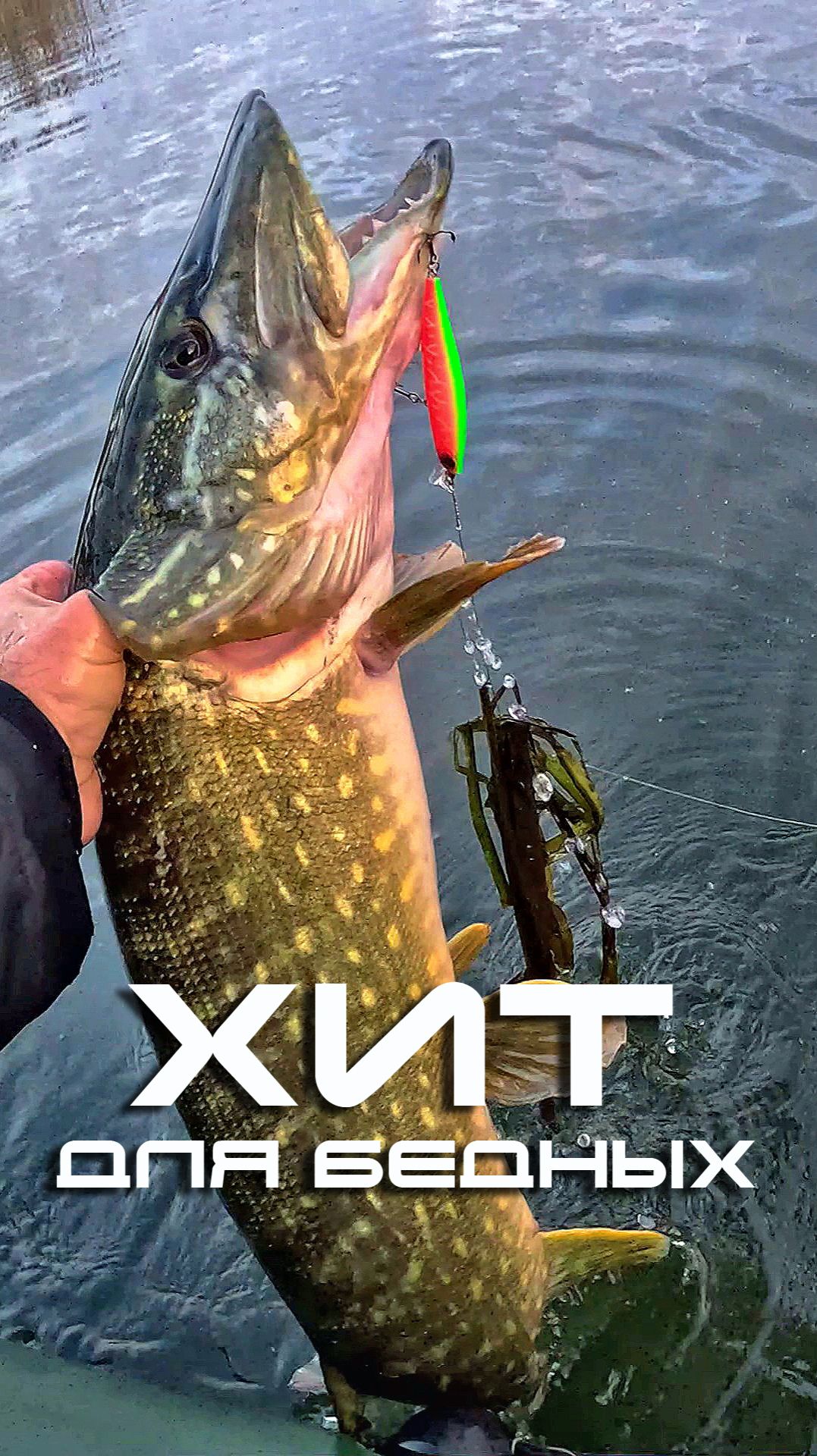 Огромная Щука на Воблер за 100 рублей!!!😱😎💪 #рыбалка #щука #трофей смотреть онлайн