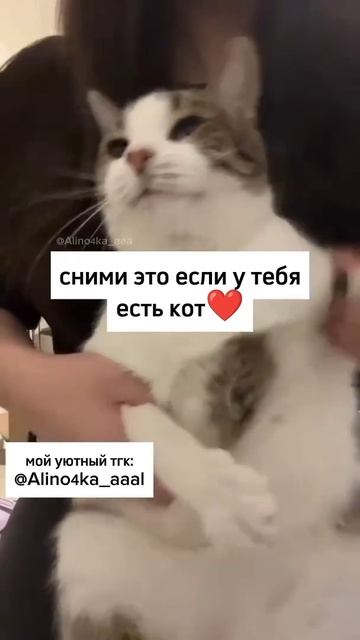 подпишитесь канала😁😁😁😁😁😁