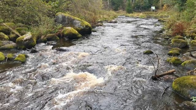 Бурная Карельская река. смотреть онлайн