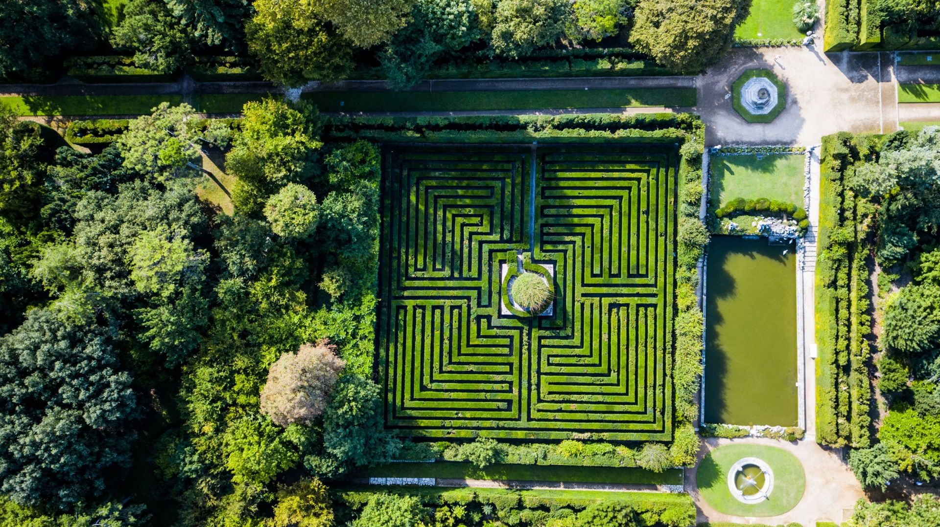 Драм площадка. Лабиринты Мэри Вайт смотреть онлайн