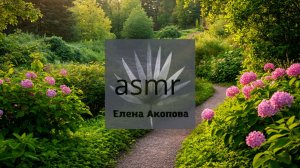 Прогулка к ручью с щебетанием птиц и звуком ручья. Релакс