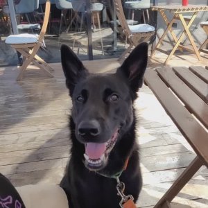 Предостережение