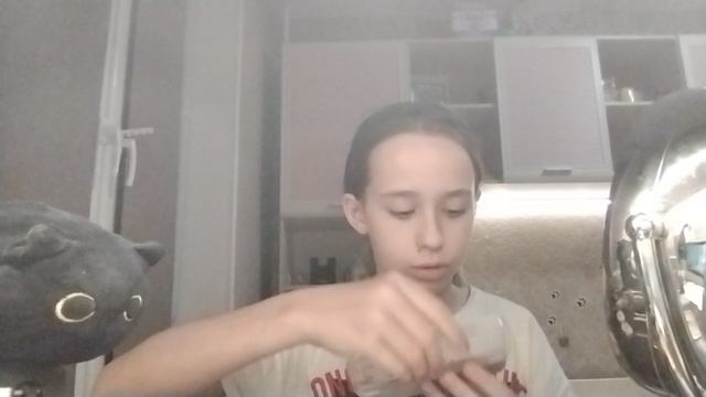 VID_20251114_204403.mp4