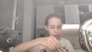 VID_20251114_204403.mp4