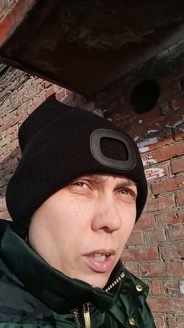 уличная кошечка смотреть онлайн