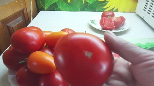 ГОСПОЖА УДАЧА. №66 в моем каталоге. ДЕГУСТАЦИЯ 2020 г. смотреть онлайн