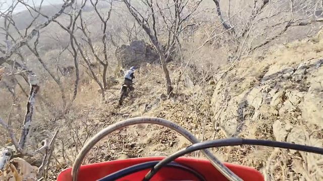 Лесные приключения ЭНДУРО 13 Ноября 2025