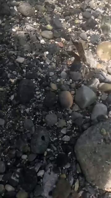 Испания. Остров Табарка. Часть 6