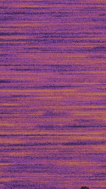 purple_man смотреть онлайн