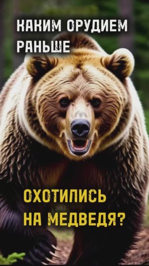 КАКИМ ОРУДИЕМ РАНЬШЕ ОХОТИЛИСЬ НА МЕДВЕДЯ / Та Сторона