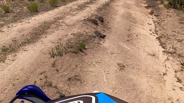 0_27346_30fps2k_2 смотреть онлайн