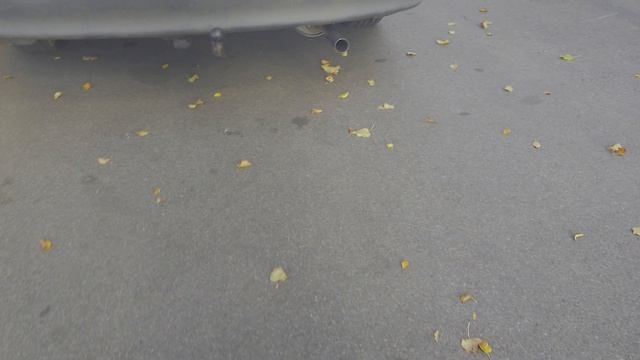 Глушитель Duster