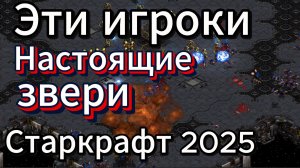 Старкрафт PvZ - МОРЕ зерга, СУПЕР штормы, победитель не известен до конца. Протосс Шатл и зерг Сабер