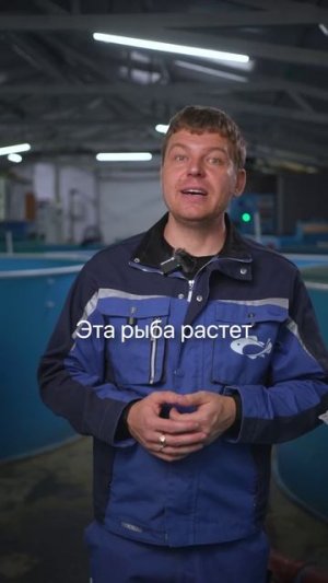 Тилапия, пангасиус, копчёная скумбрия — самые вредные рыбы. Подробности на канале.