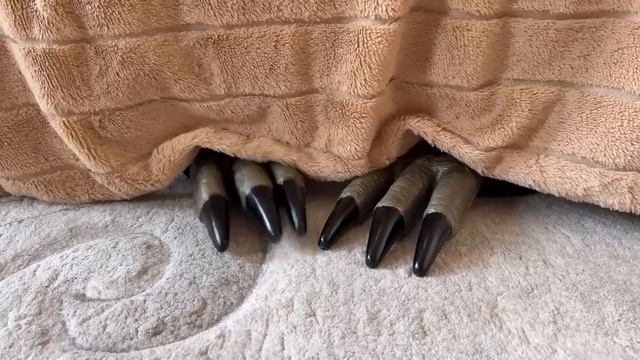 Хоинсткии пранки анука давай-ка смотреть онлайн