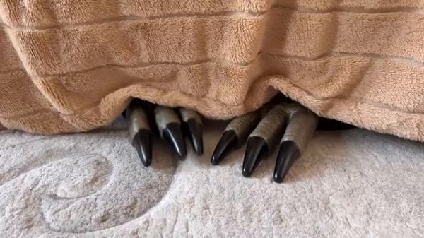 Хоинсткии пранки анука давай-ка