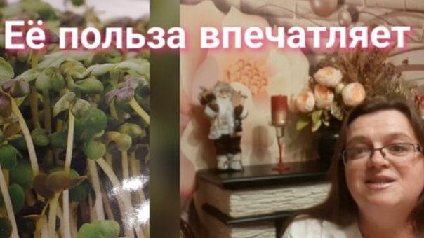 Микрозелень. Топ-8 самых полезных для женщин. Посев смотреть онлайн
