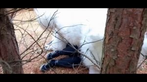 ЧЕЛОВЕК ПРОТИВ МЕДВЕДЯ