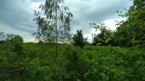 -2607846904230476373