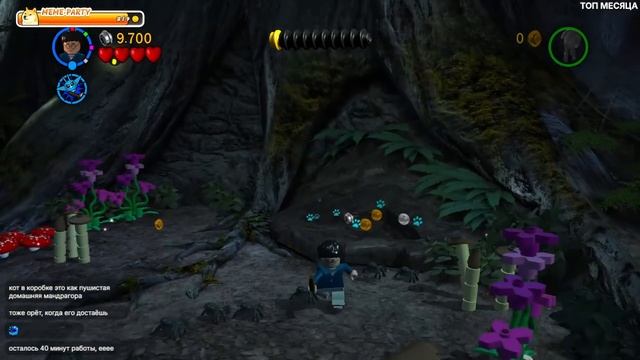 #5 LEGO Harry Potter 2nd Year