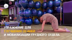 Упражнение "Кошка - корова" для улучшения осанки и мобилизации грудного отдела