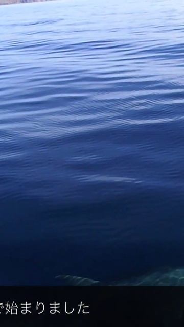 yacht смотреть онлайн