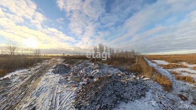 10265679 смотреть онлайн