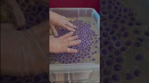 5 МИНУТ ЩАСТЬЯ 🤤🤤🤤