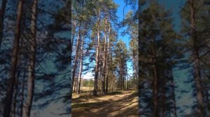 №98 Восстановление и настройка функций дыхательной системы