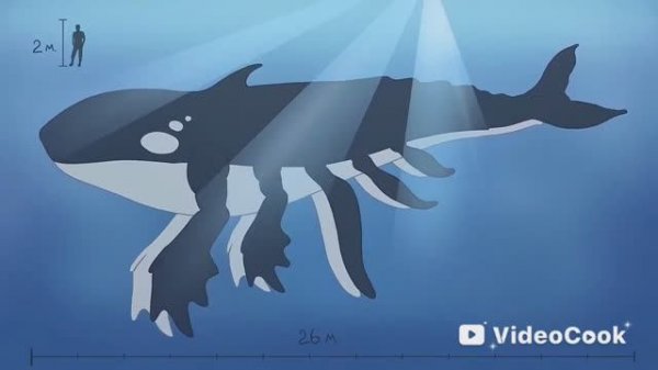 [ Детектив Войд ] SCP-879 Колониальное китообразное (Анимация SCP)