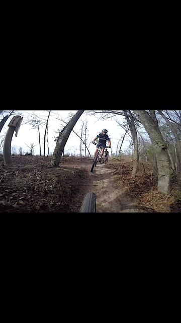 bike_v2 смотреть онлайн