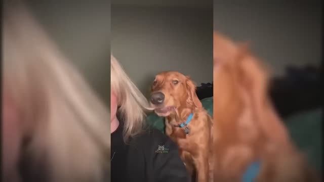 #смешныевидео -199 смотреть онлайн