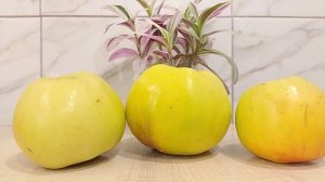 Нашла что смотреть. Страница надежды