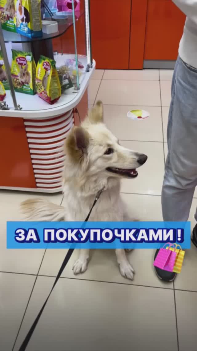 Признавайтесь, кто тоже любит шопппинг? 😎